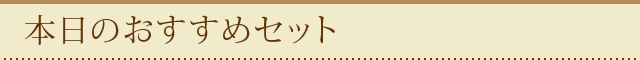 本日のおすすめセット